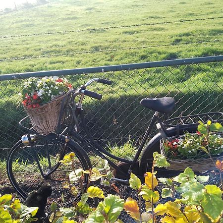 Ut Witte Huisje Venhorst 外观 照片