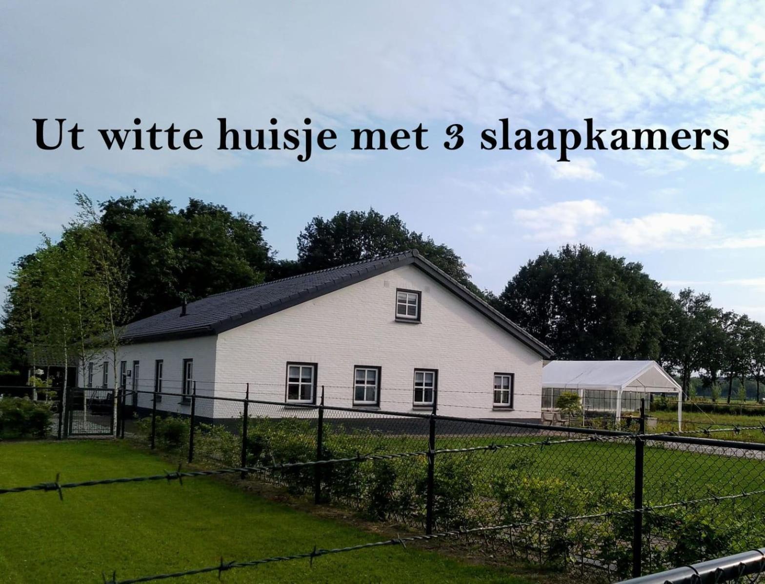 Ut Witte Huisje Venhorst 外观 照片